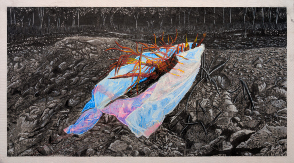 Bolsa en paisaje deforestado (reproducción)