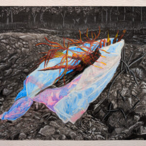 Bolsa en paisaje deforestado